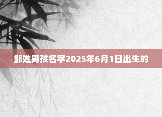 邹姓男孩名字2025年6月1日出生的