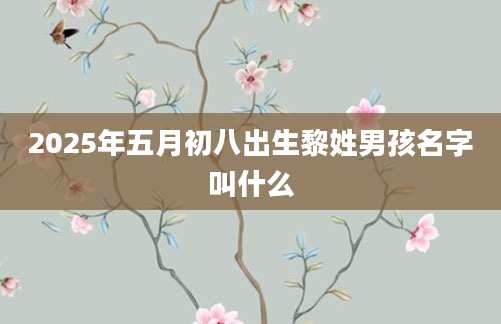 2025年五月初八出生黎姓男孩名字叫什么