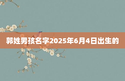 郭姓男孩名字2025年6月4日出生的