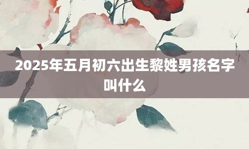 2025年五月初六出生黎姓男孩名字叫什么