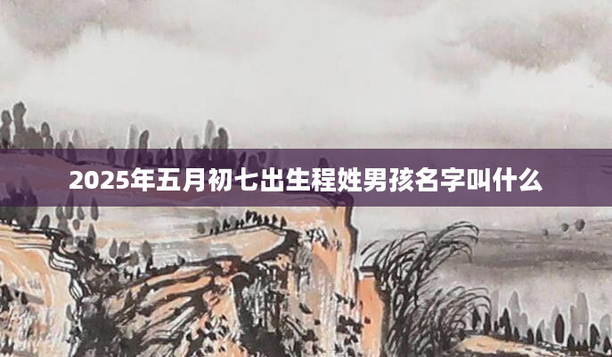 2025年五月初七出生程姓男孩名字叫什么