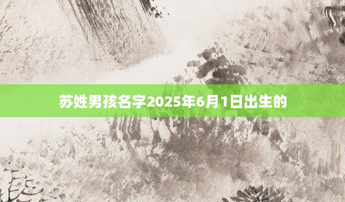 苏姓男孩名字2025年6月1日出生的