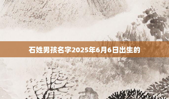 石姓男孩名字2025年6月6日出生的