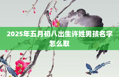 2025年五月初八出生许姓男孩名字怎么取