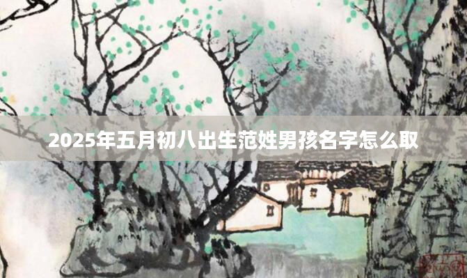 2025年五月初八出生范姓男孩名字怎么取