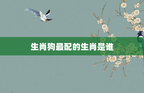 生肖狗最配的生肖是谁