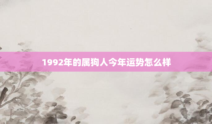 1992年的属狗人今年运势怎么样