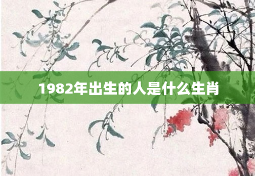 1982年出生的人是什么生肖