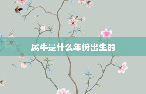 属牛是什么年份出生的