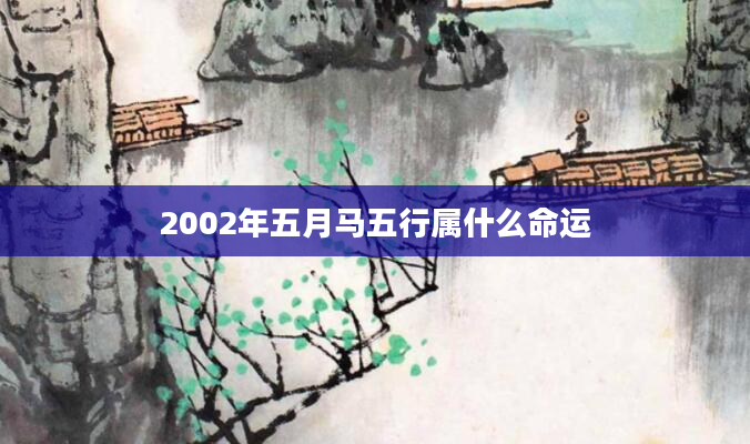 2002年五月马五行属什么命运