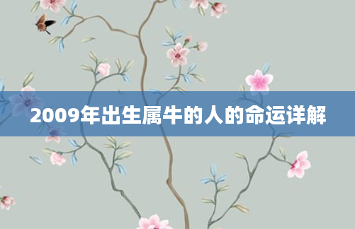 2009年出生属牛的人的命运详解