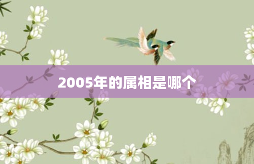 2005年的属相是哪个