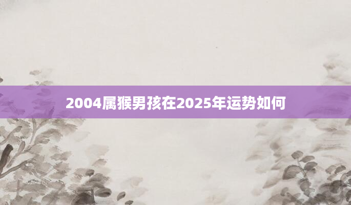 2004属猴男孩在2025年运势如何