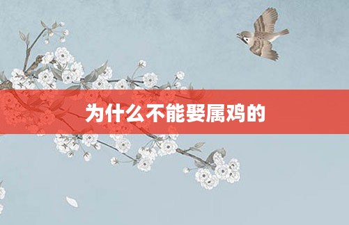 为什么不能娶属鸡的