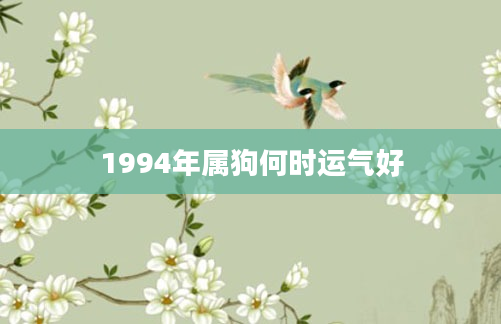 1994年属狗何时运气好