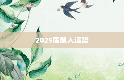 2025属鼠人运势