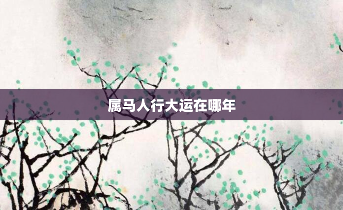 属马人行大运在哪年