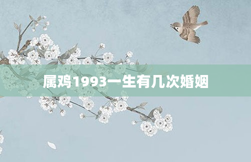 属鸡1993一生有几次婚姻