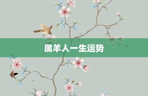 属羊人一生运势