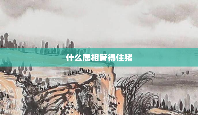 什么属相管得住猪