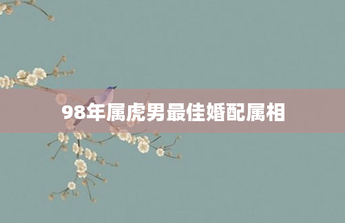 98年属虎男最佳婚配属相