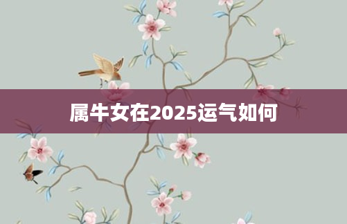 属牛女在2025运气如何