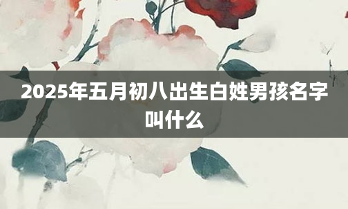 2025年五月初八出生白姓男孩名字叫什么