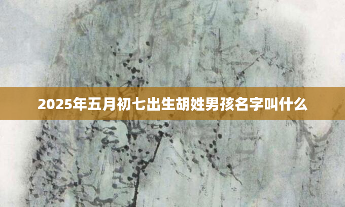 2025年五月初七出生胡姓男孩名字叫什么