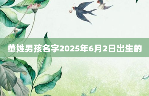 董姓男孩名字2025年6月2日出生的