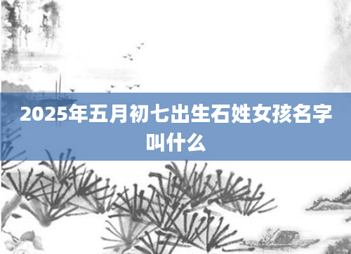 2025年五月初七出生石姓女孩名字叫什么