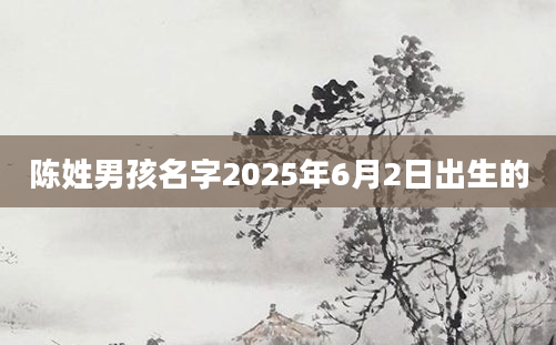 陈姓男孩名字2025年6月2日出生的