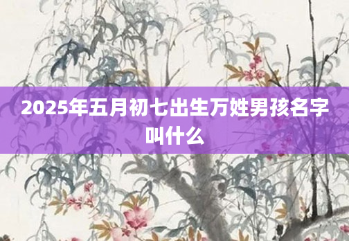 2025年五月初七出生万姓男孩名字叫什么