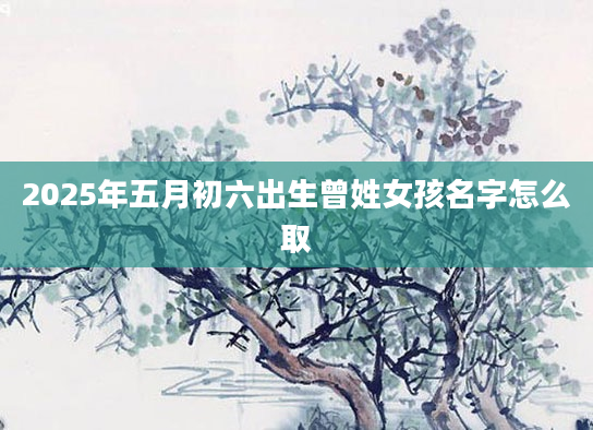 2025年五月初六出生曾姓女孩名字怎么取