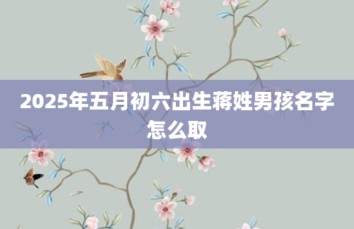 2025年五月初六出生蒋姓男孩名字怎么取