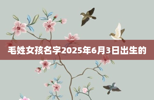 毛姓女孩名字2025年6月3日出生的