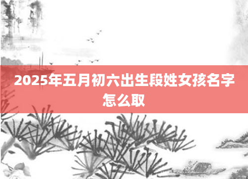 2025年五月初六出生段姓女孩名字怎么取