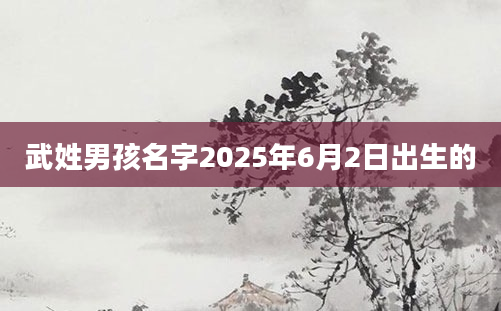 武姓男孩名字2025年6月2日出生的