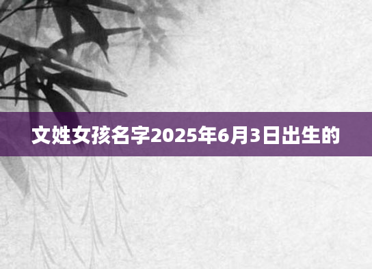 文姓女孩名字2025年6月3日出生的