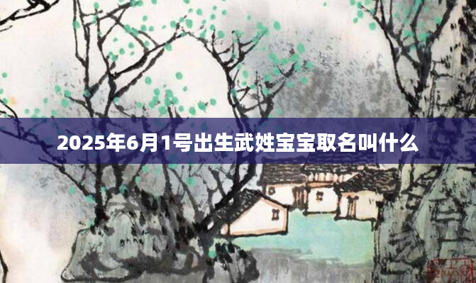 2025年6月1号出生武姓宝宝取名叫什么