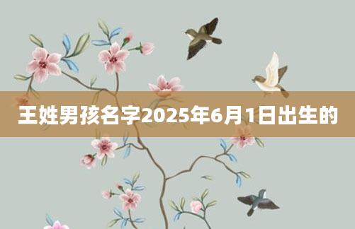 王姓男孩名字2025年6月1日出生的