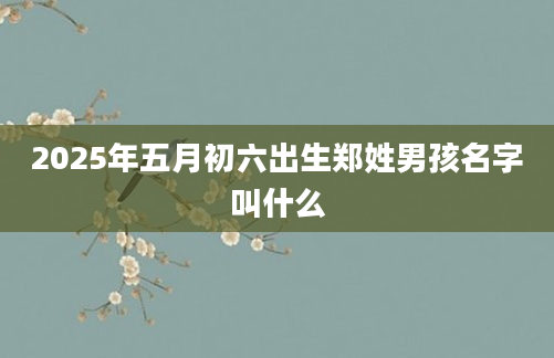 2025年五月初六出生郑姓男孩名字叫什么