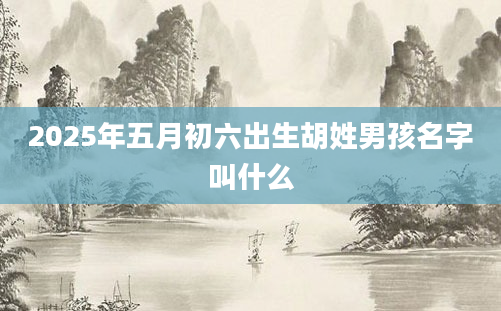 2025年五月初六出生胡姓男孩名字叫什么