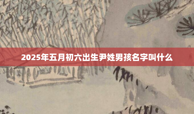 2025年五月初六出生尹姓男孩名字叫什么