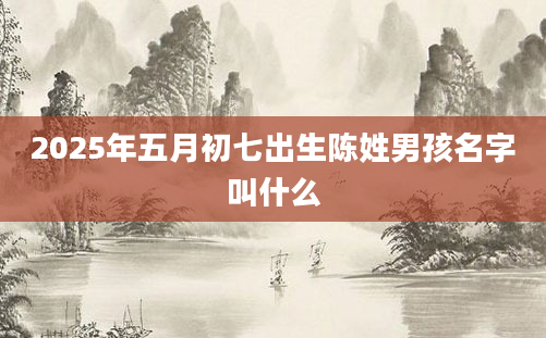 2025年五月初七出生陈姓男孩名字叫什么