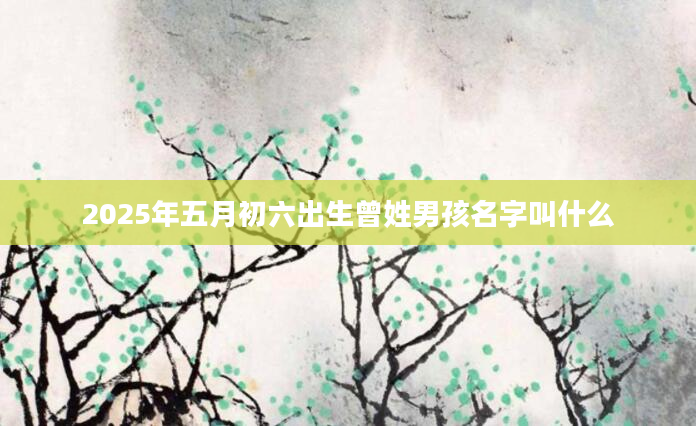 2025年五月初六出生曾姓男孩名字叫什么