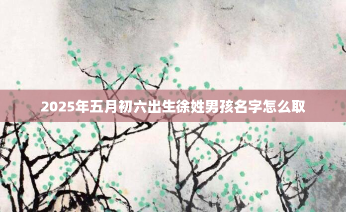 2025年五月初六出生徐姓男孩名字怎么取