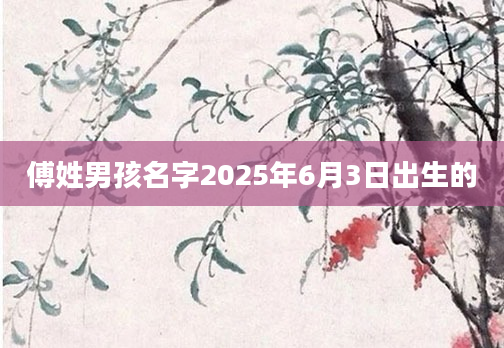 傅姓男孩名字2025年6月3日出生的
