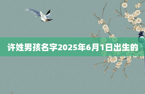 许姓男孩名字2025年6月1日出生的