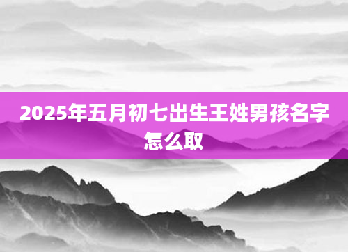2025年五月初七出生王姓男孩名字怎么取