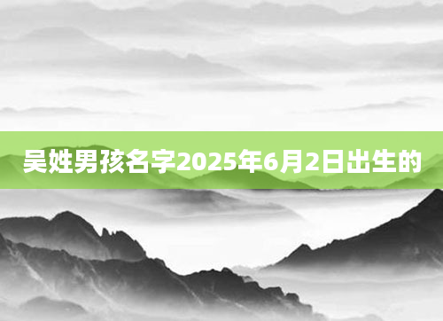 吴姓男孩名字2025年6月2日出生的